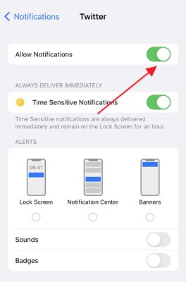 Activer les notifications Twitter sur iPhone.
