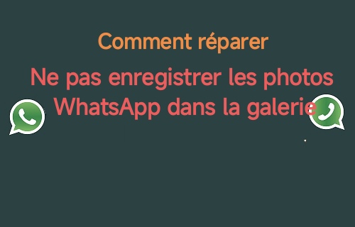 Réparer les photos WhatsApp qui ne s'affichent pas dans la galerie