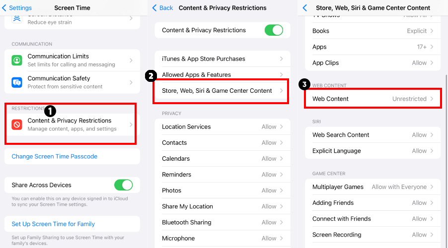 iPhone web content settings