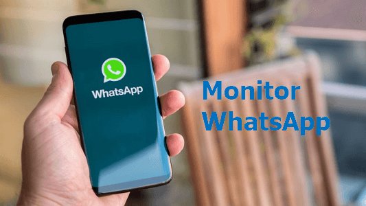 monitor WhatsApp