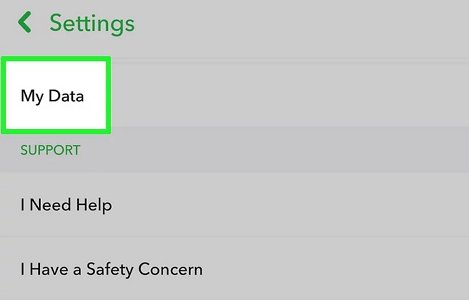 Mis Datos en Snapchat