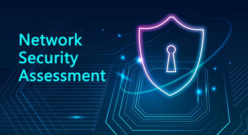 network security assessment