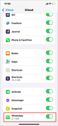 See if WhatsApp Backup is stored in iCloud on iPhone