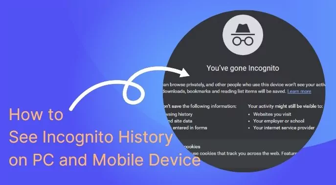 how to see incognito history