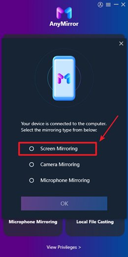 choose Screen Mirroring on AnyMirror