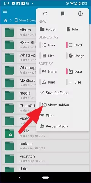 show hidden files