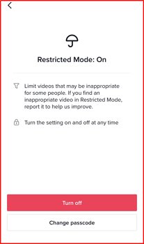 turn off restricted mode