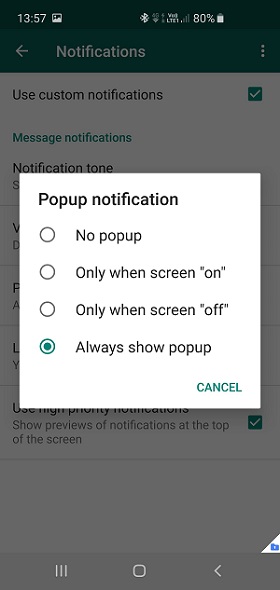 use WhatsApp popup