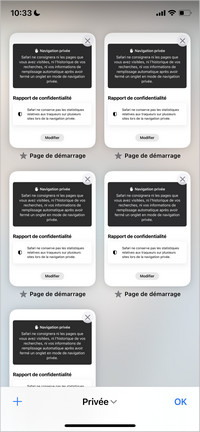 Voir l'historique de navigation privée dans Safari
