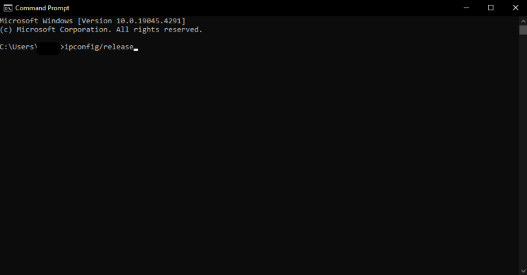 Type the command “ipconfig/release”