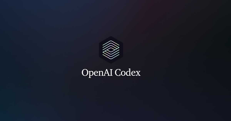 openai codex