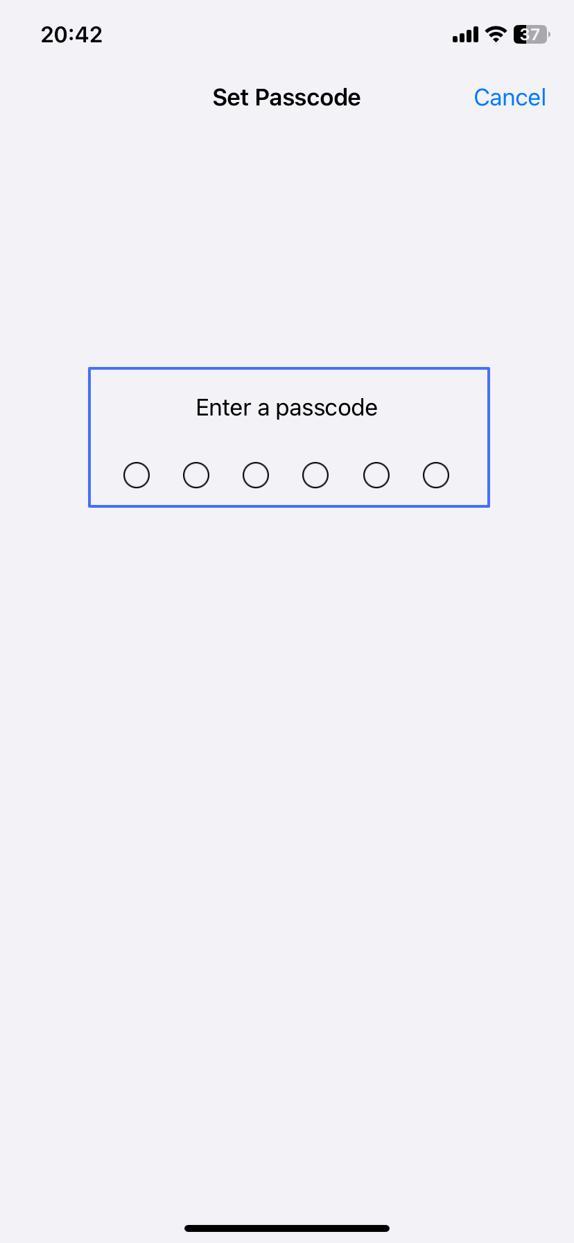 set Guided Access passcode 2